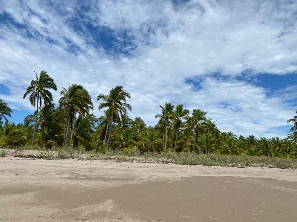 image-9