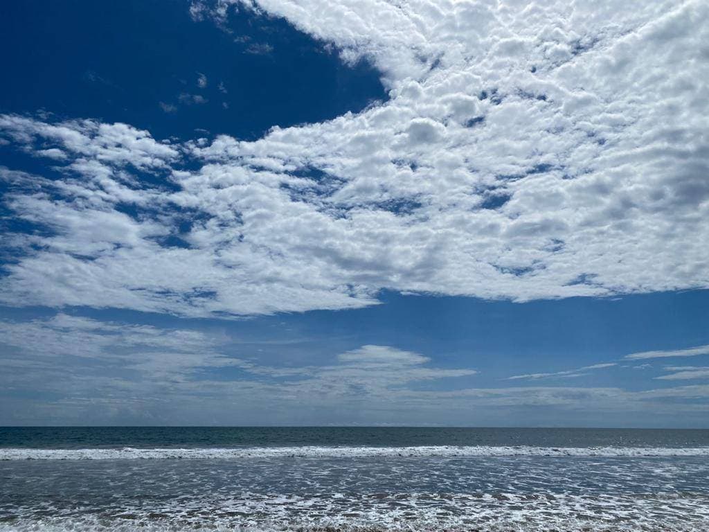 image-19