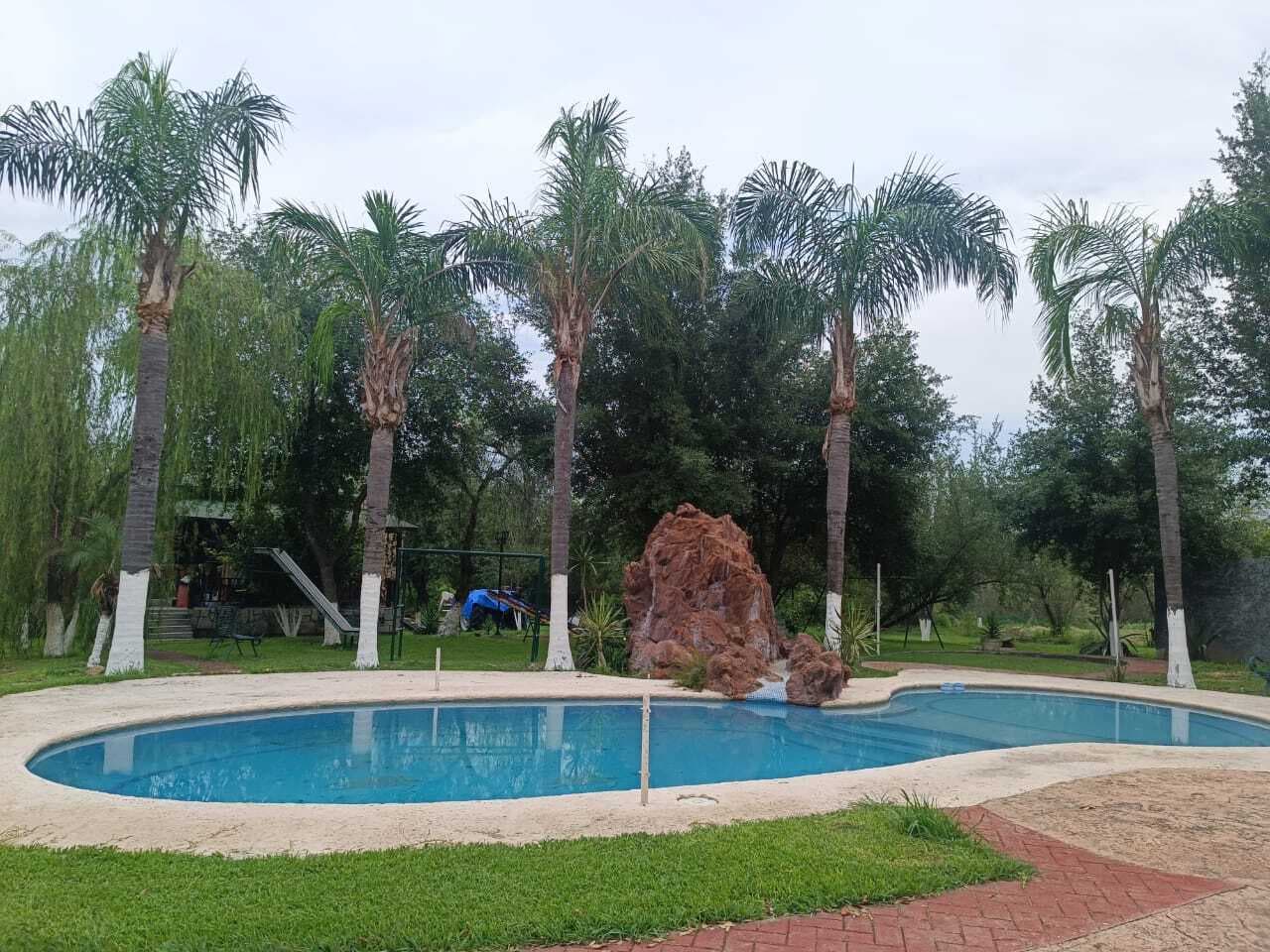 image-20
