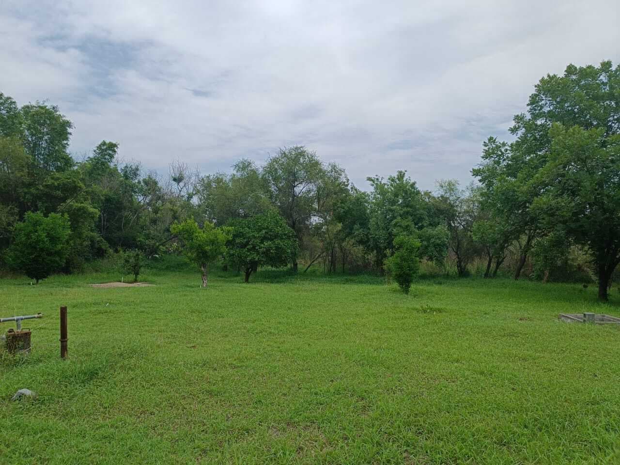 image-23
