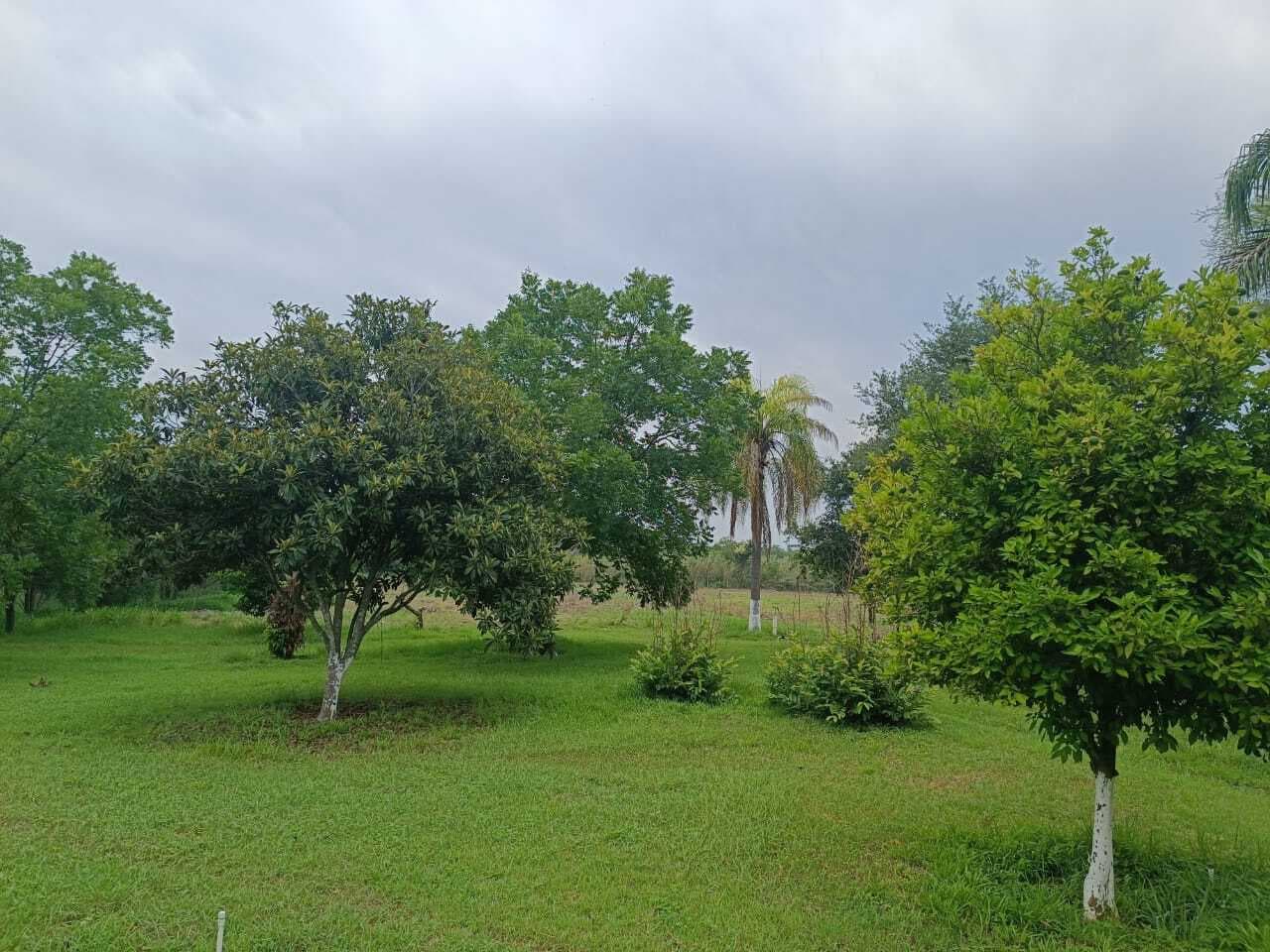 image-24