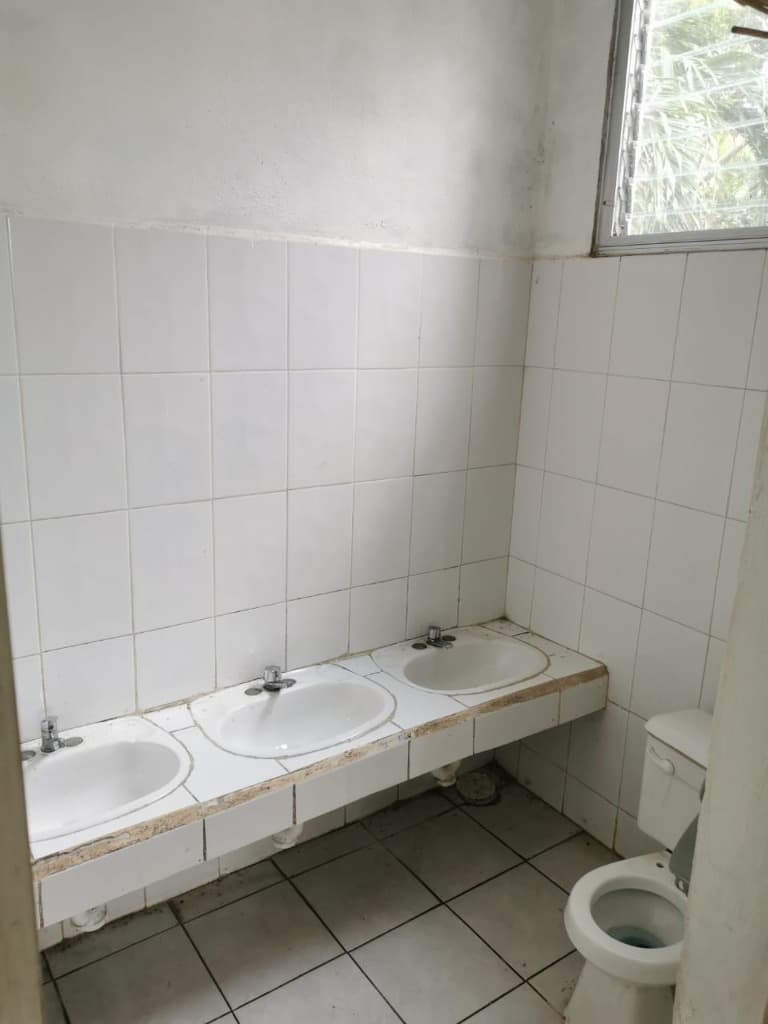 image-19