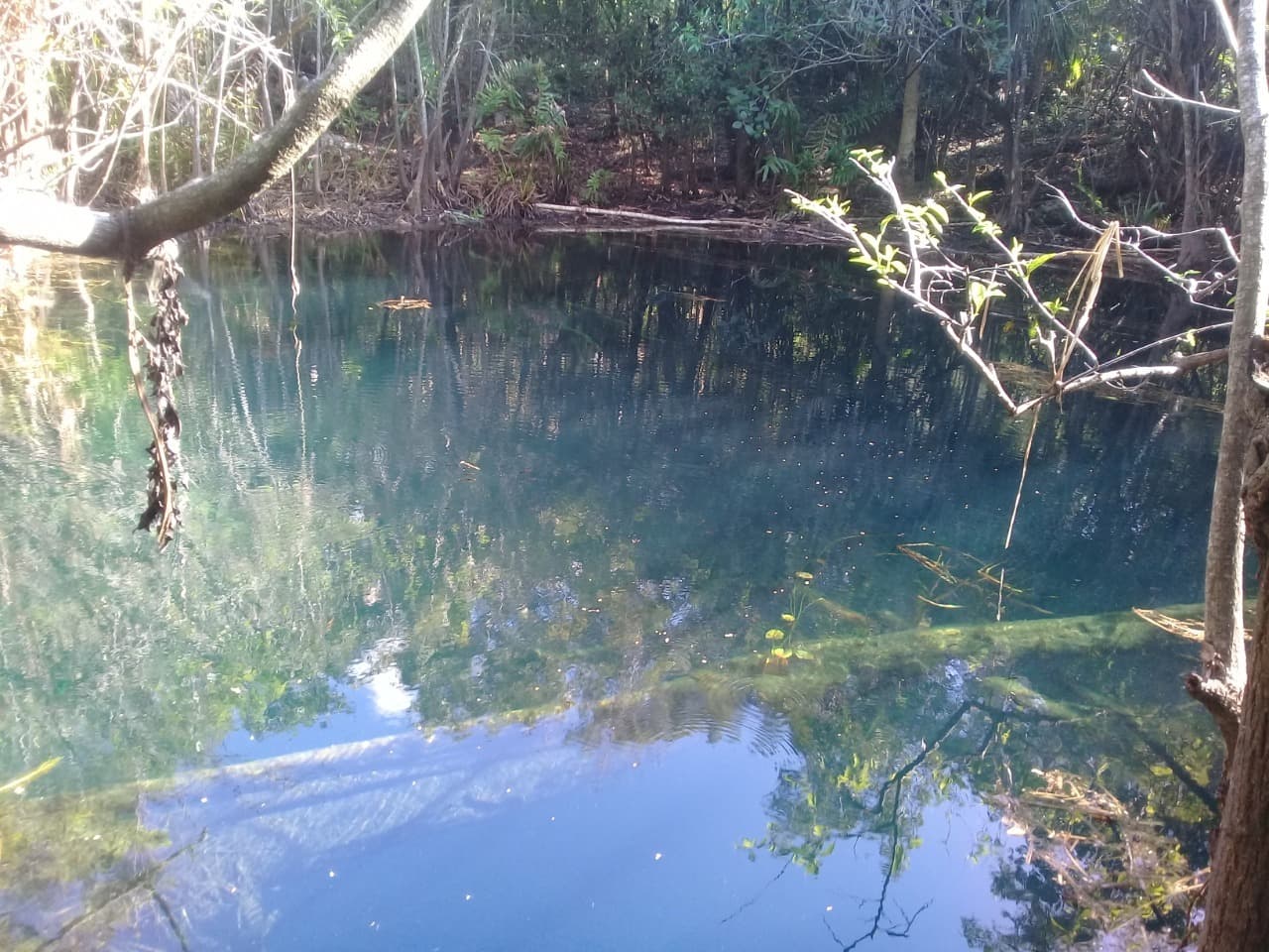 image-3