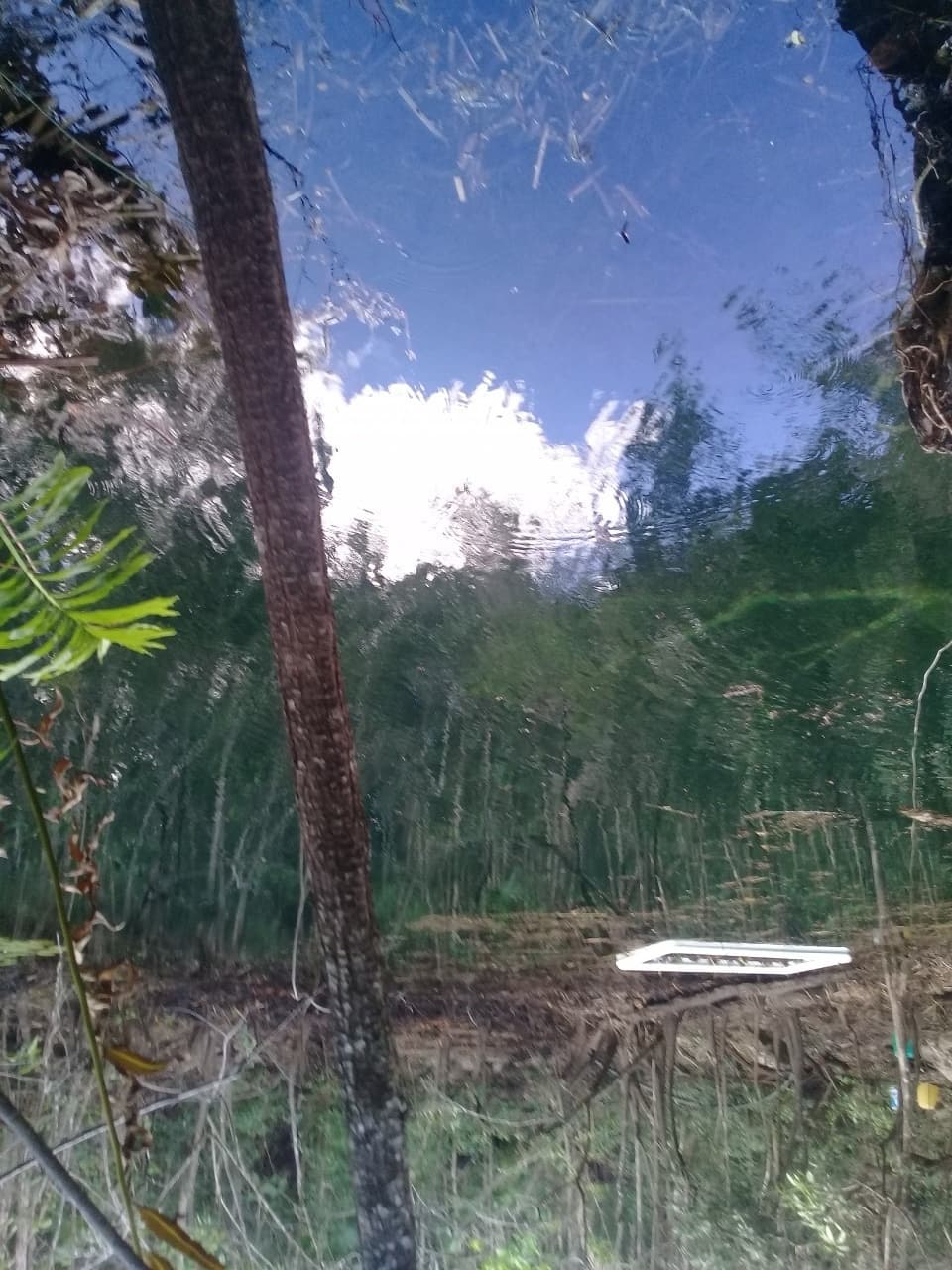 image-2