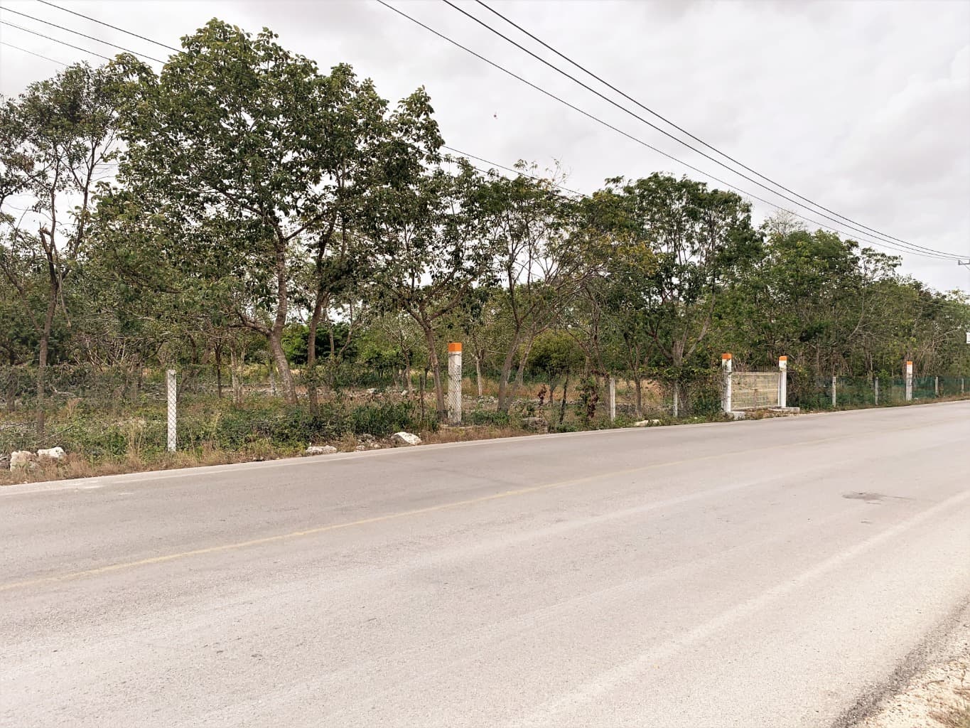 image-5
