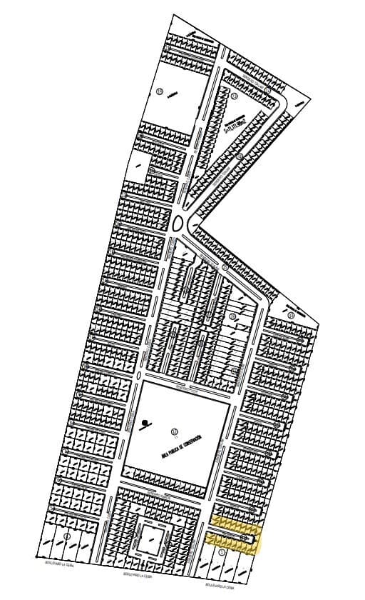 image-29