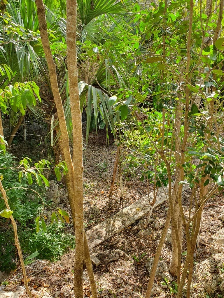 image-4