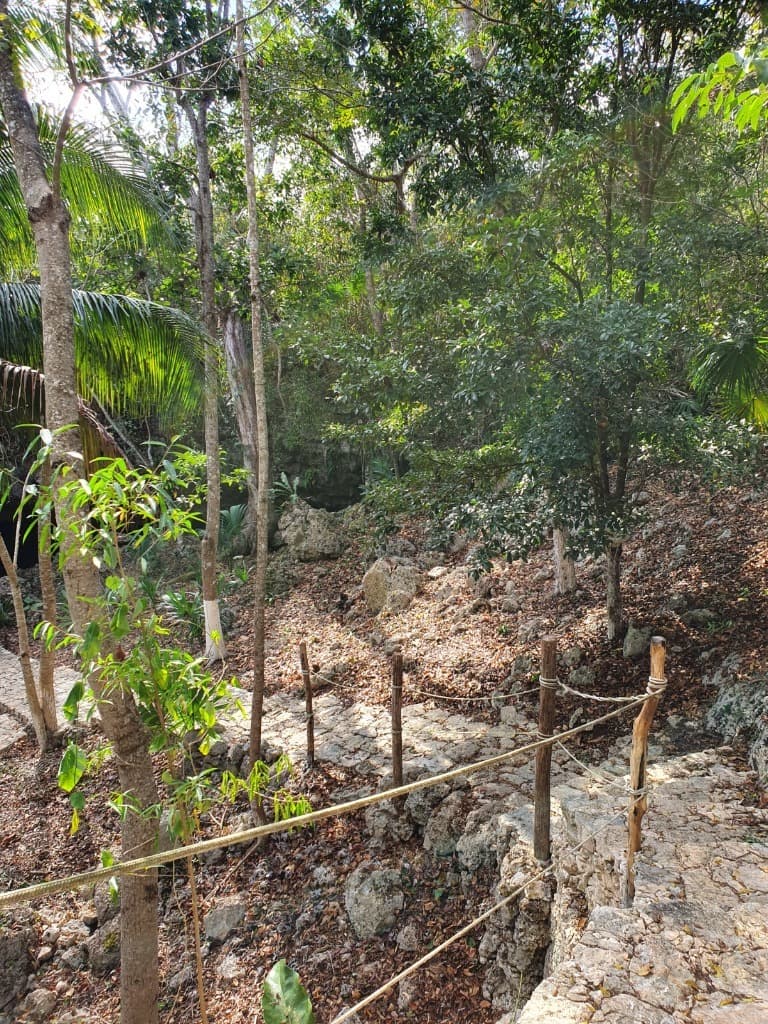 image-6
