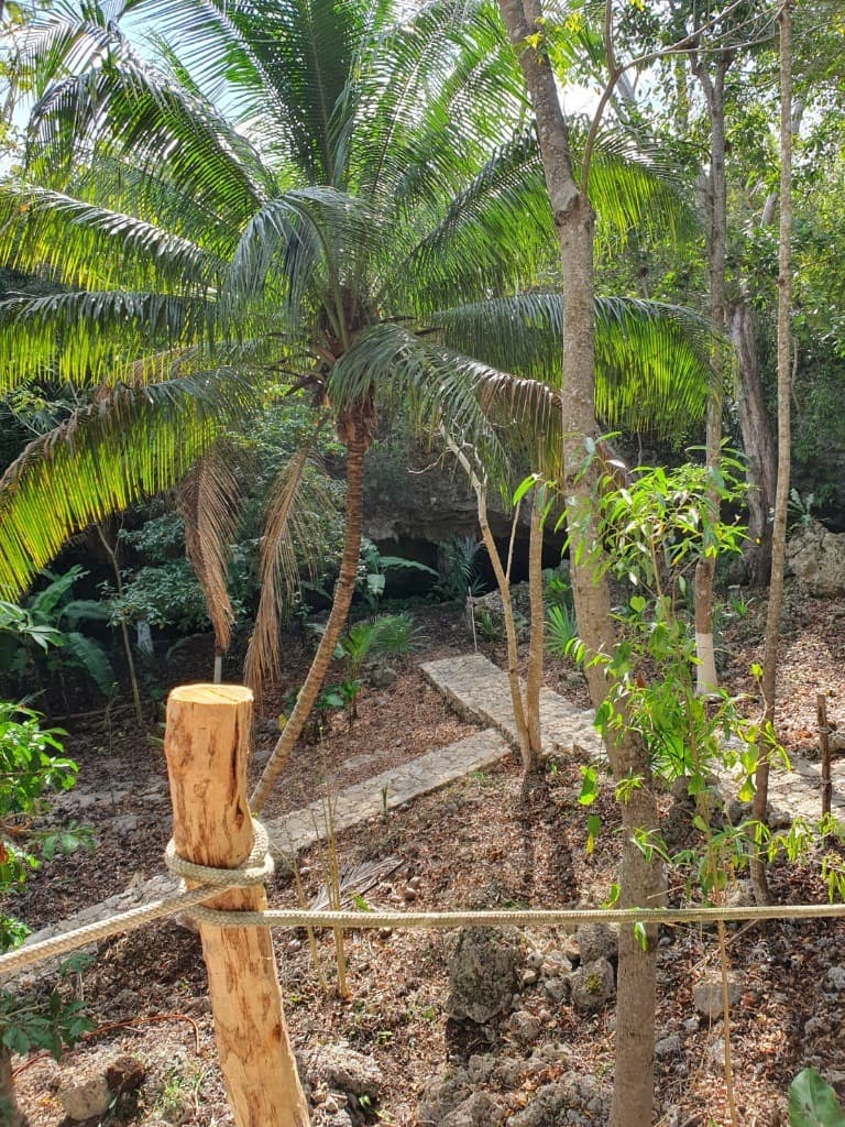 image-5