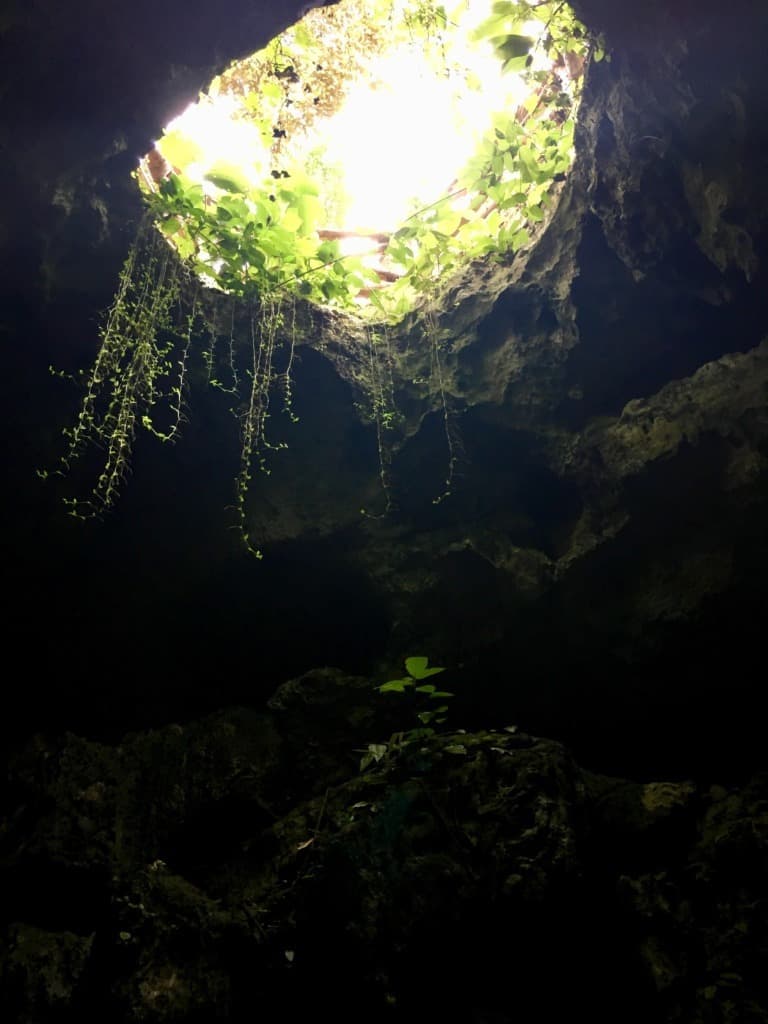 image-15