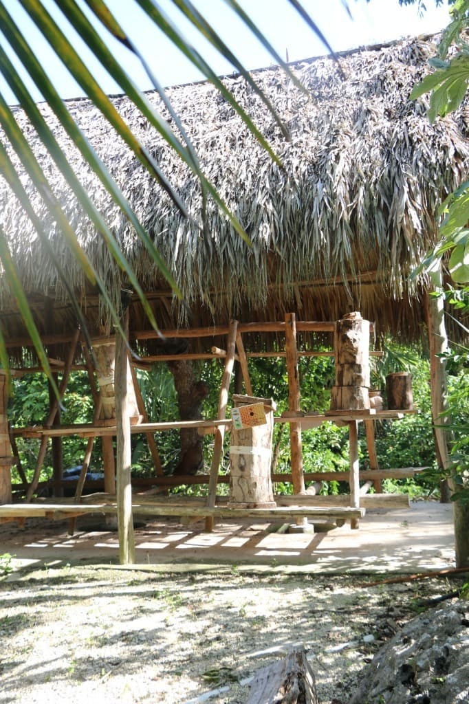 image-19