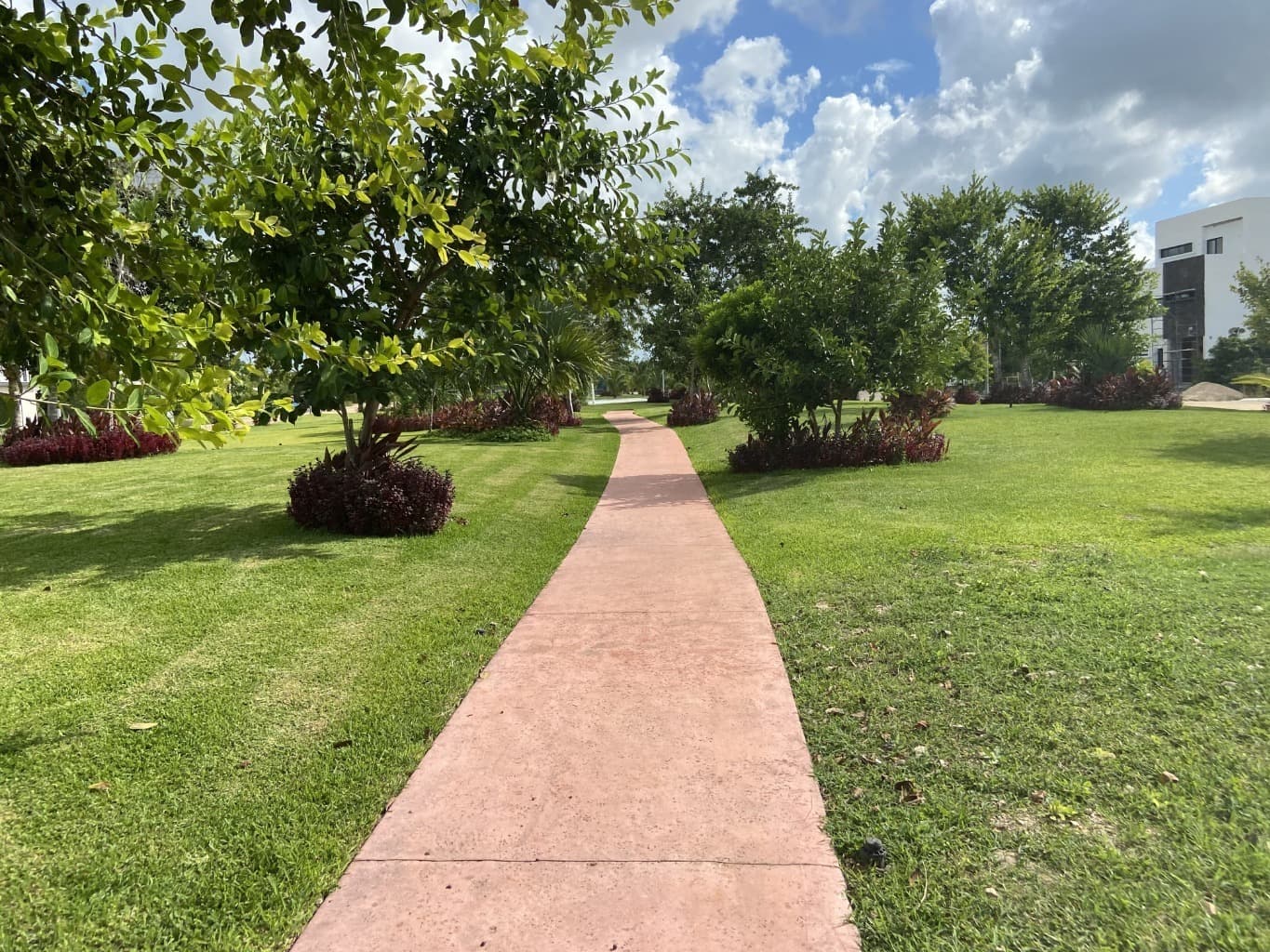 image-25