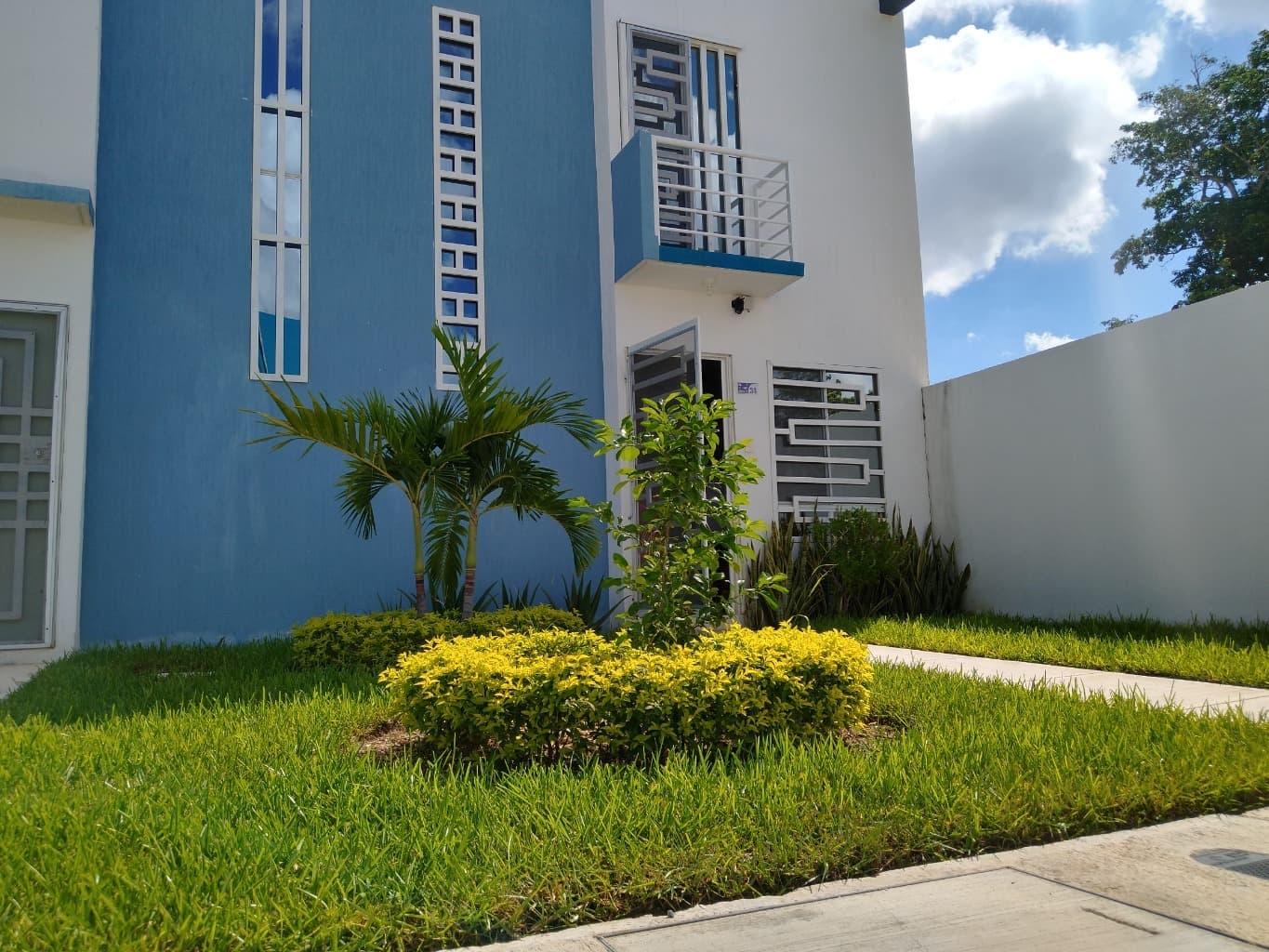 image-2