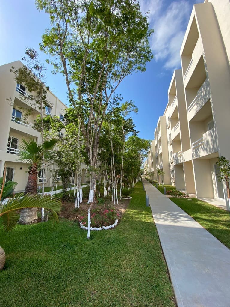 image-18