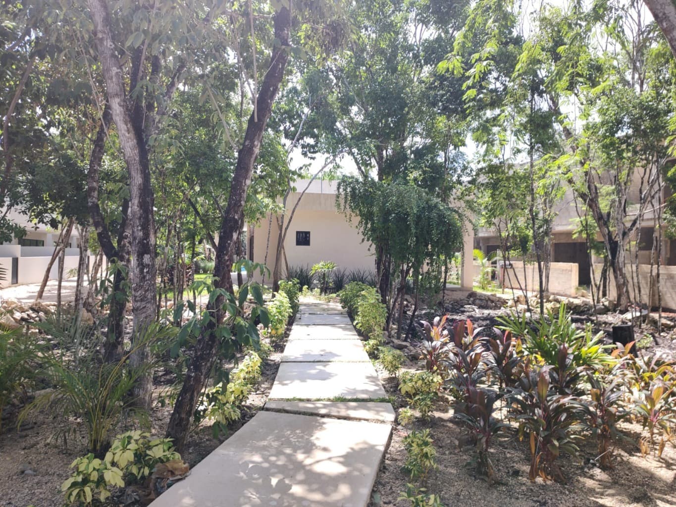 image-37