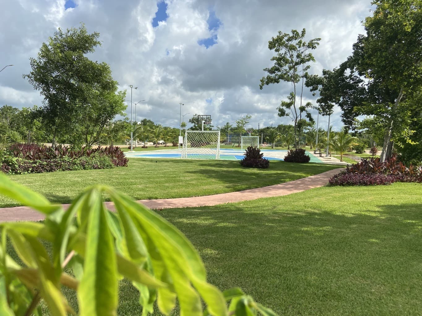 image-12