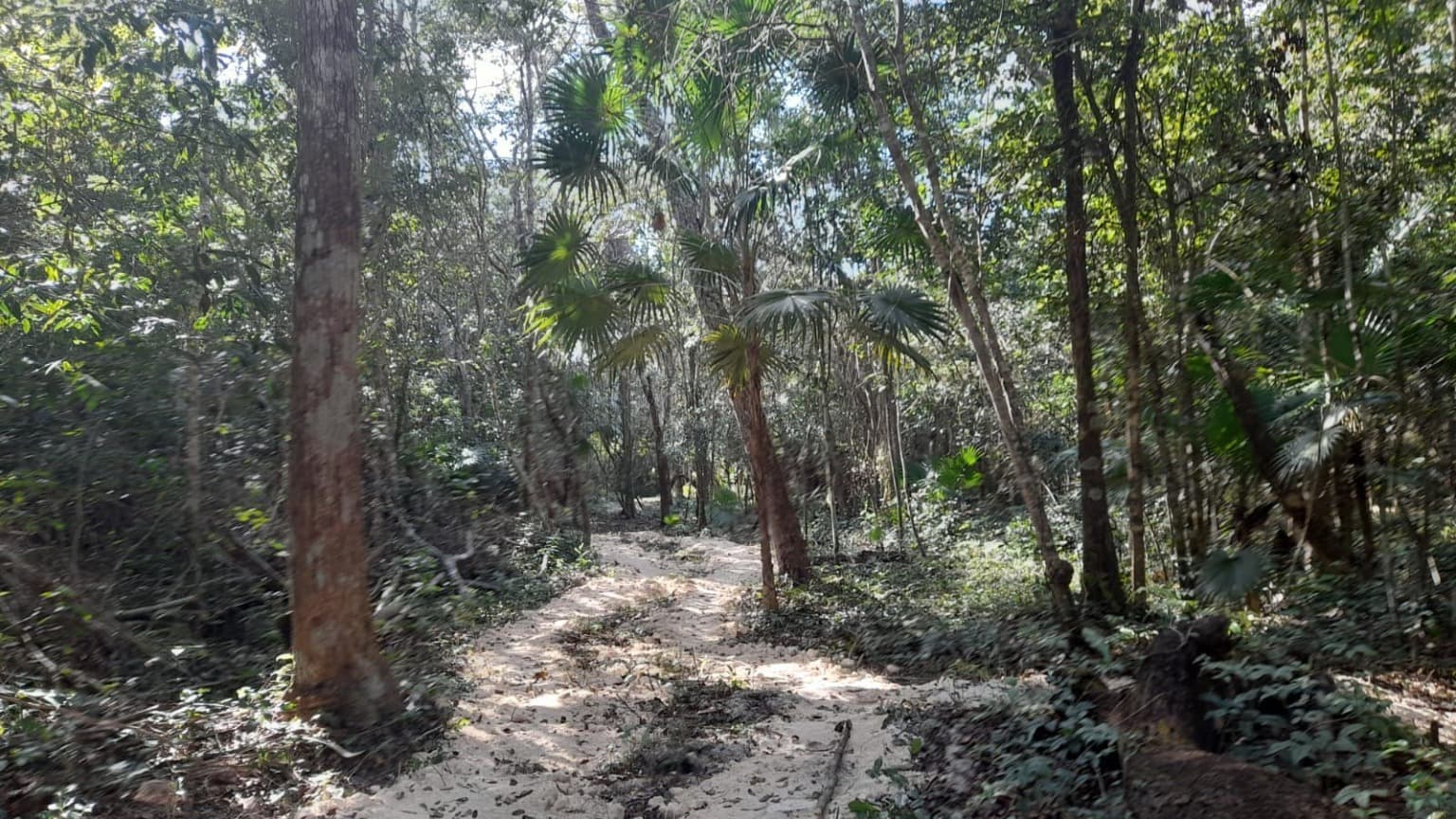 image-2