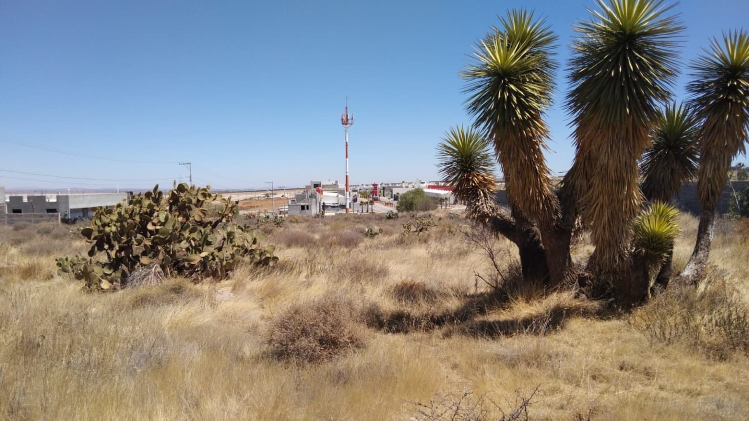 image-14