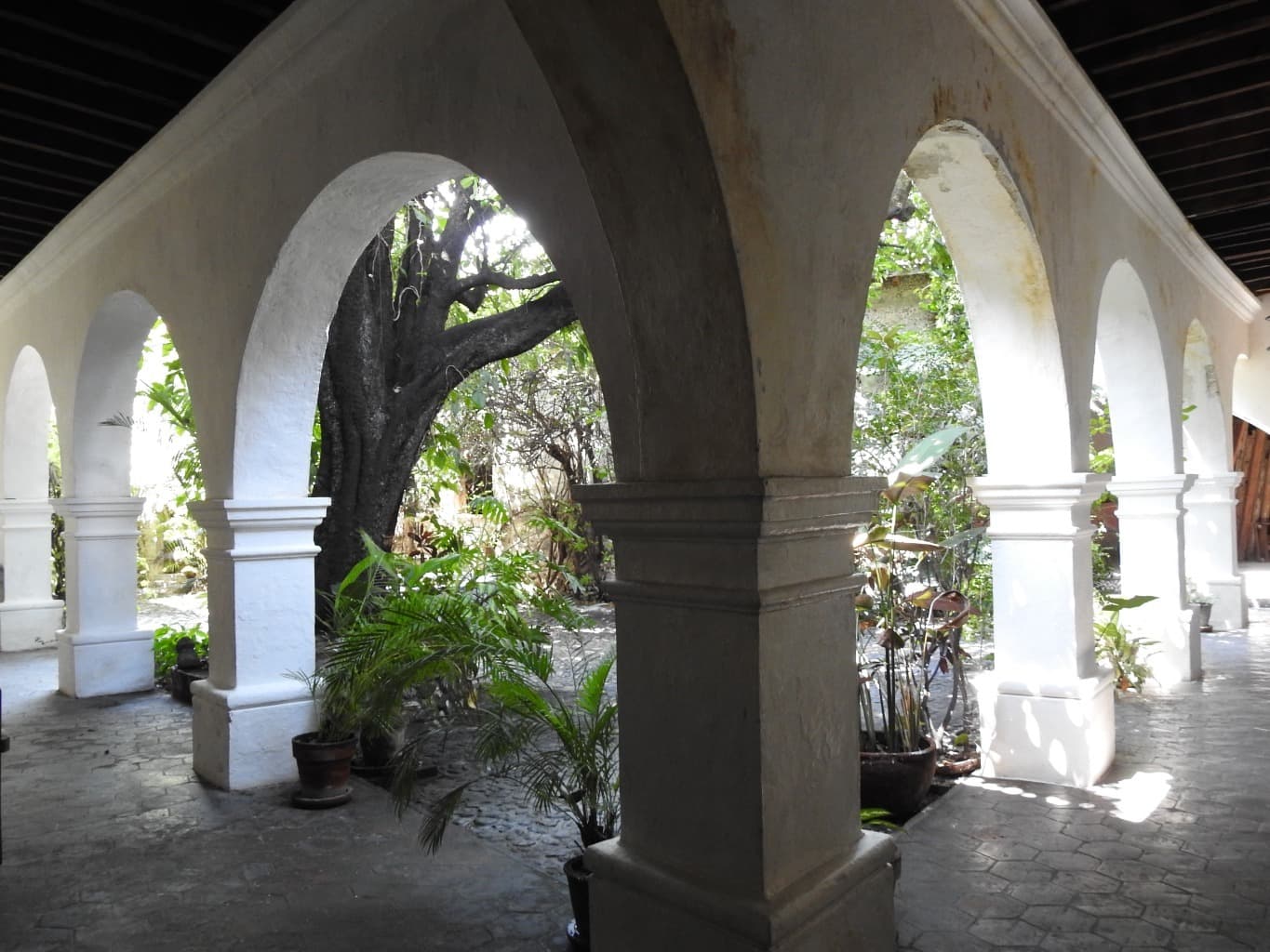 image-20