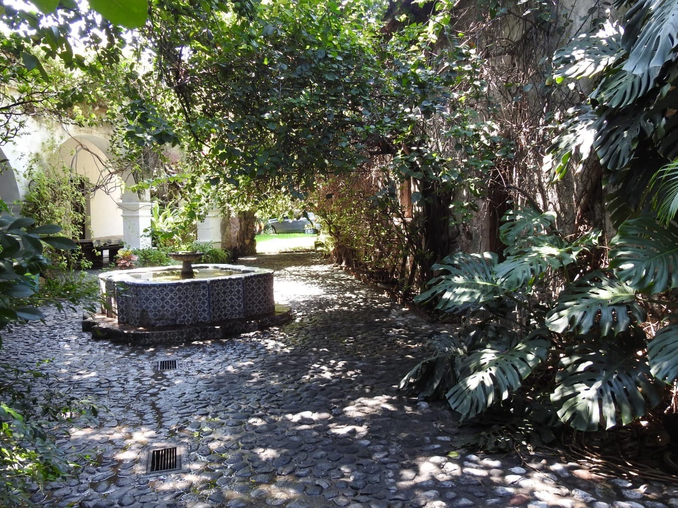image-6