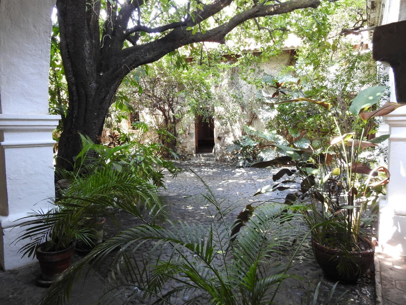 image-4