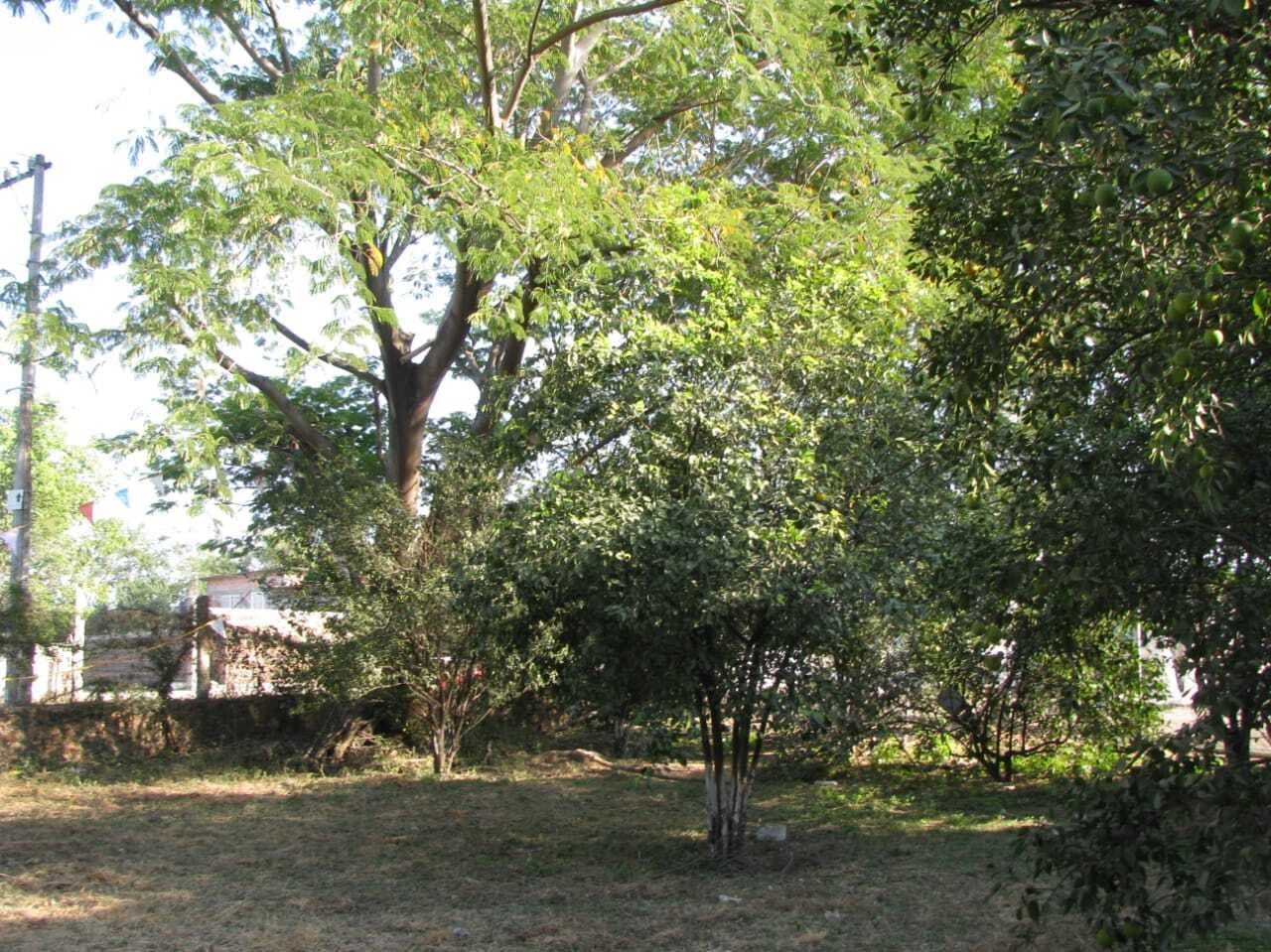 image-0
