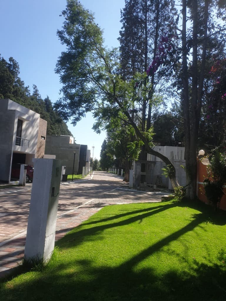 image-17