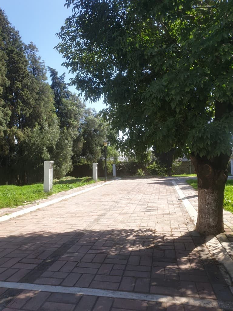 image-18