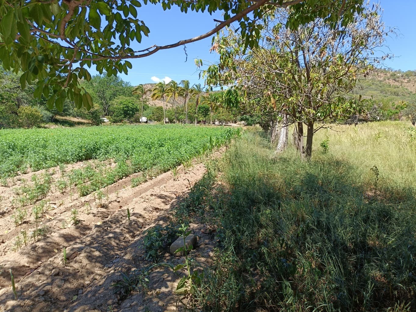 image-7