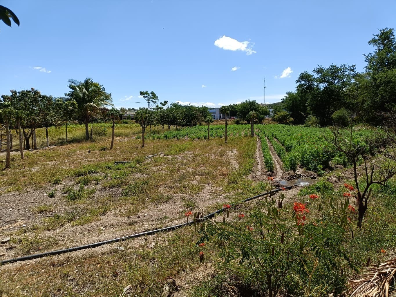 image-14