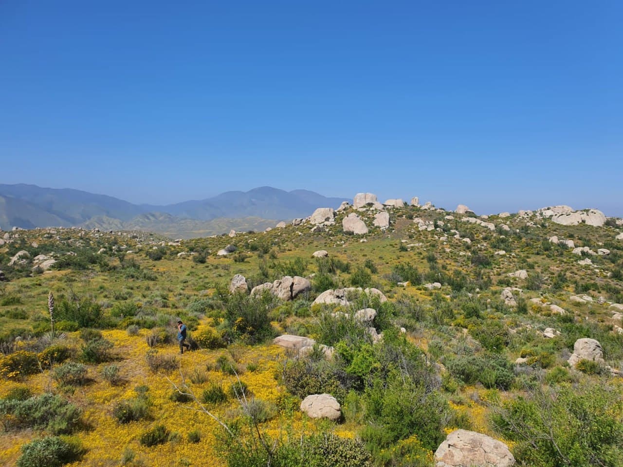 image-1