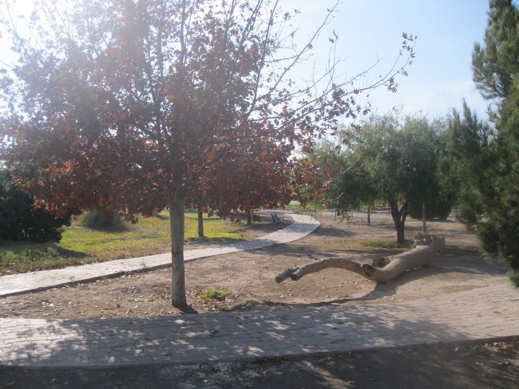 image-4