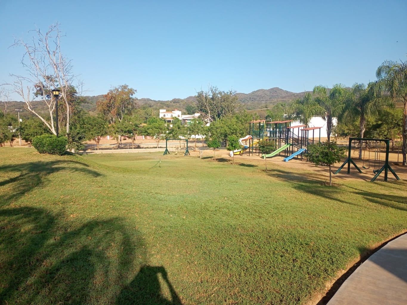 image-7