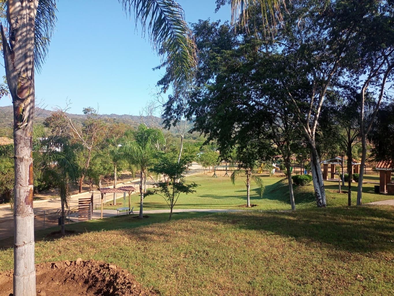 image-5