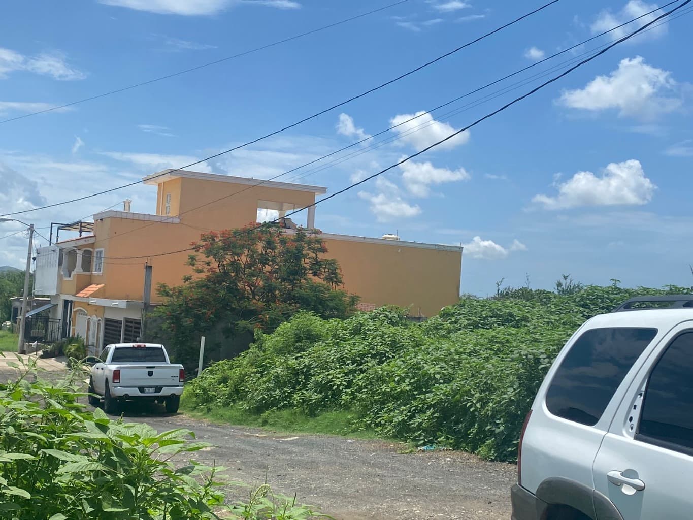 image-4