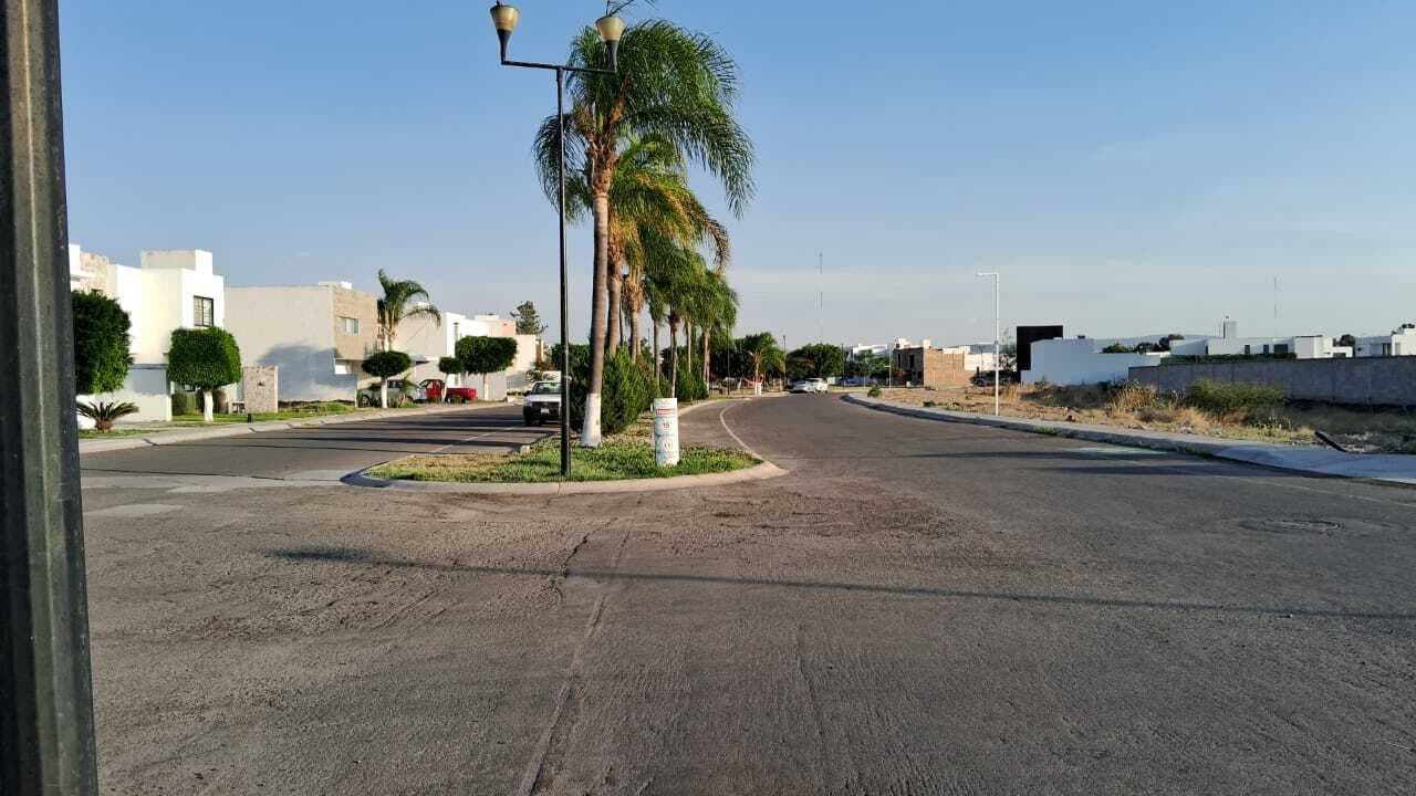 image-19