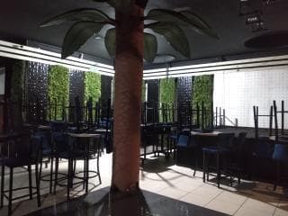 image-37