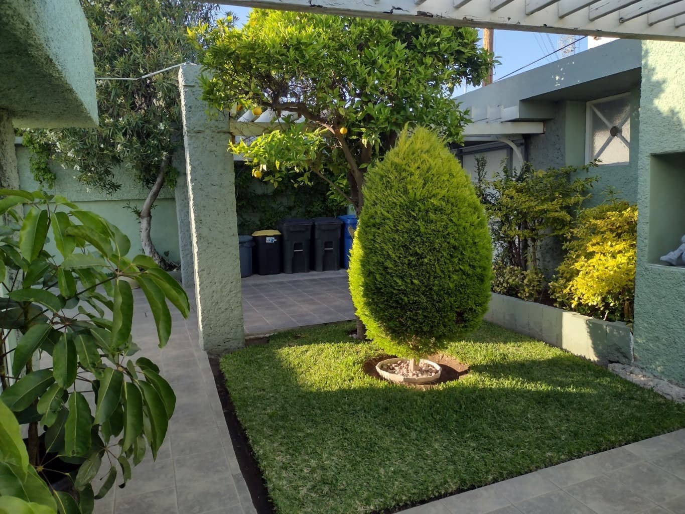 image-2