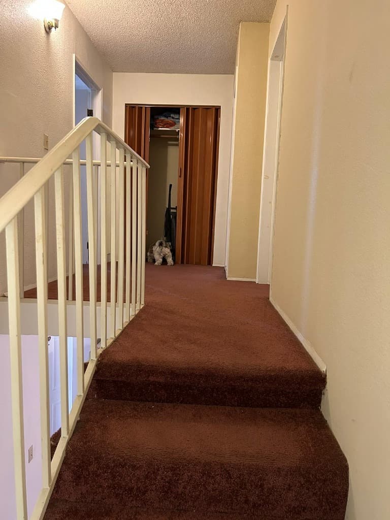 image-18
