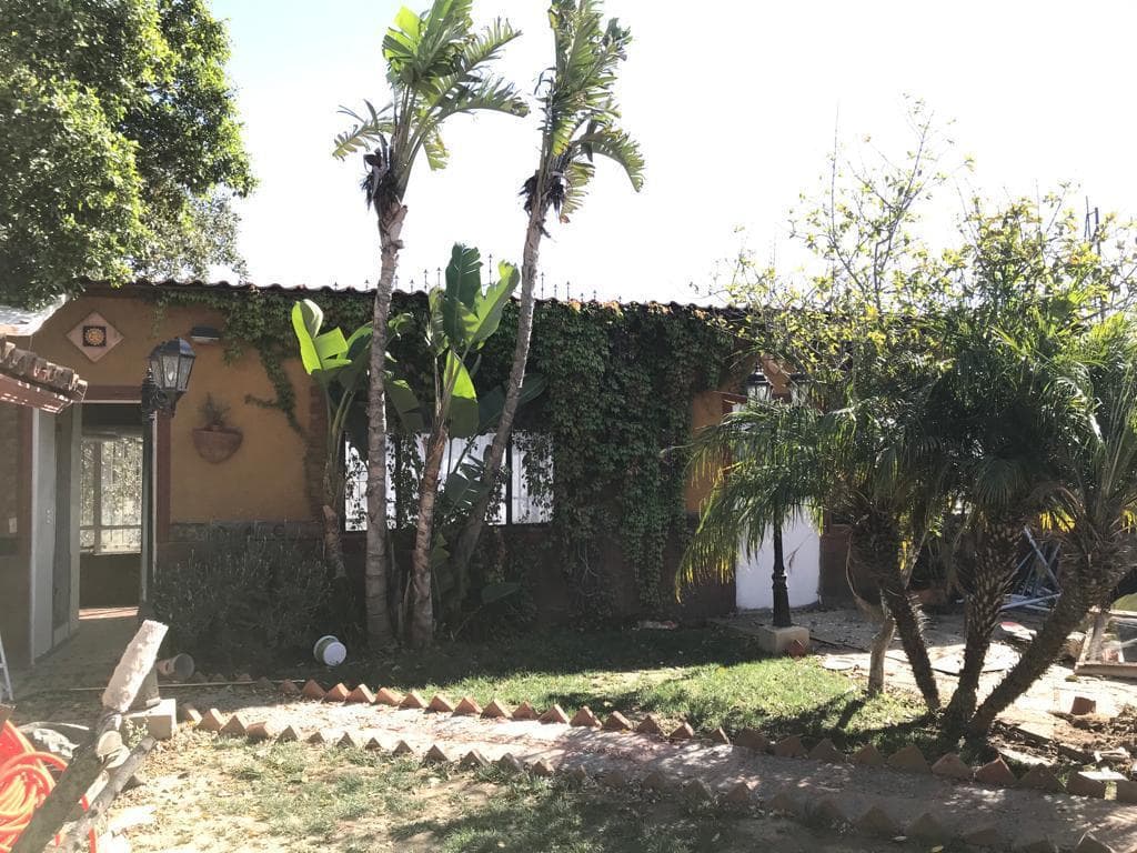 image-0