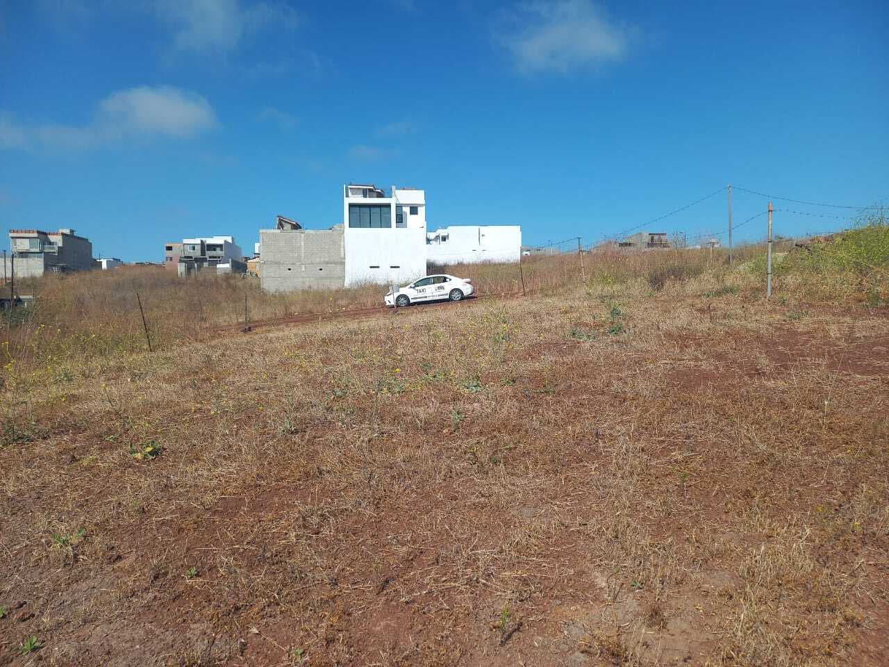 image-0