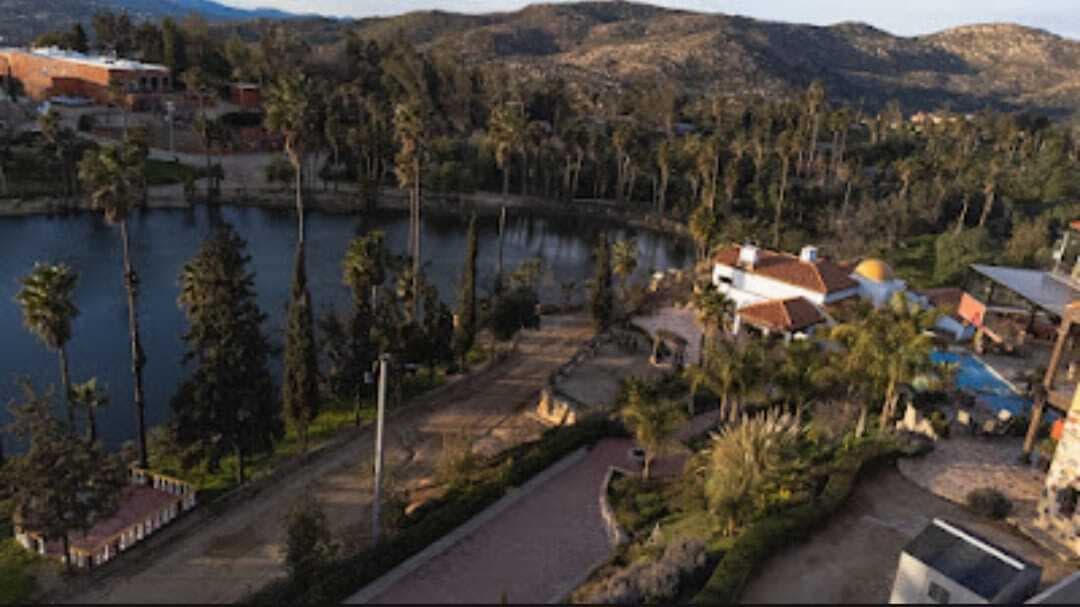 image-8
