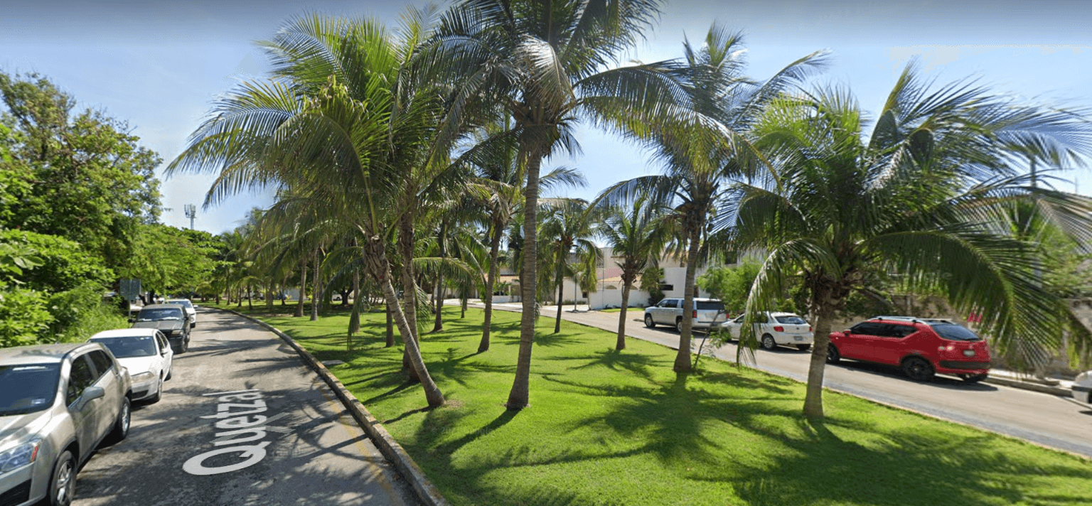 image-7