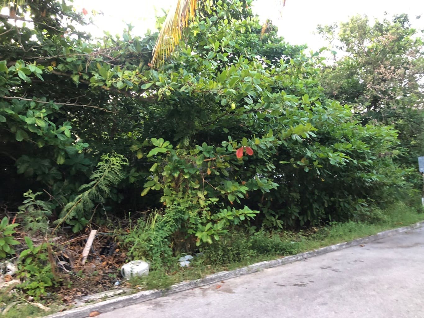 image-15