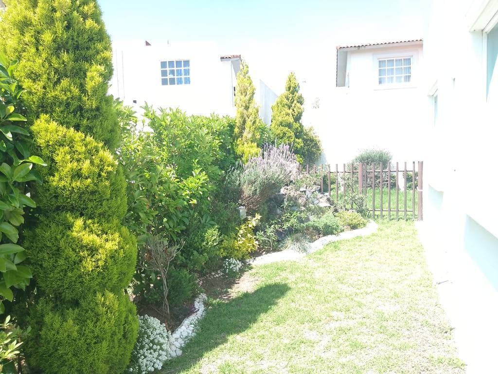 image-17