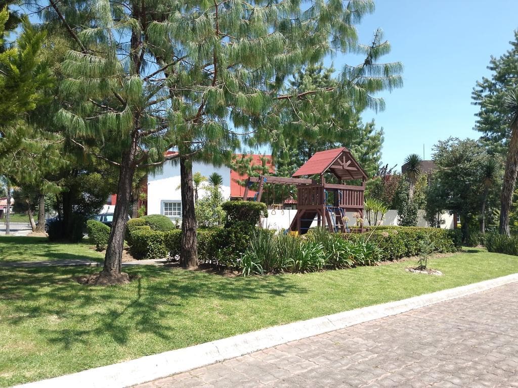 image-23