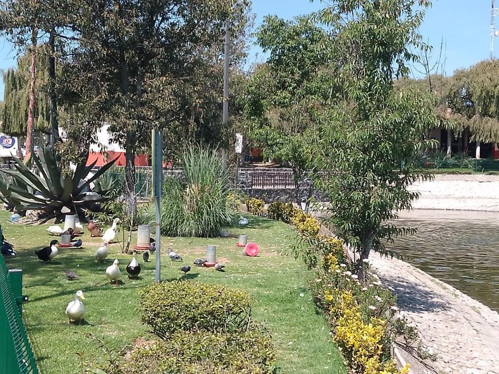 image-20
