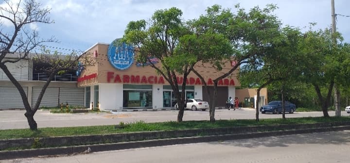 image-7