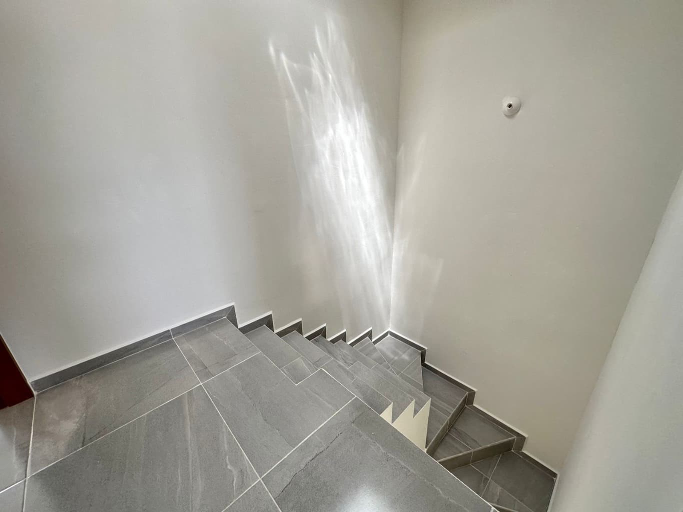 image-19