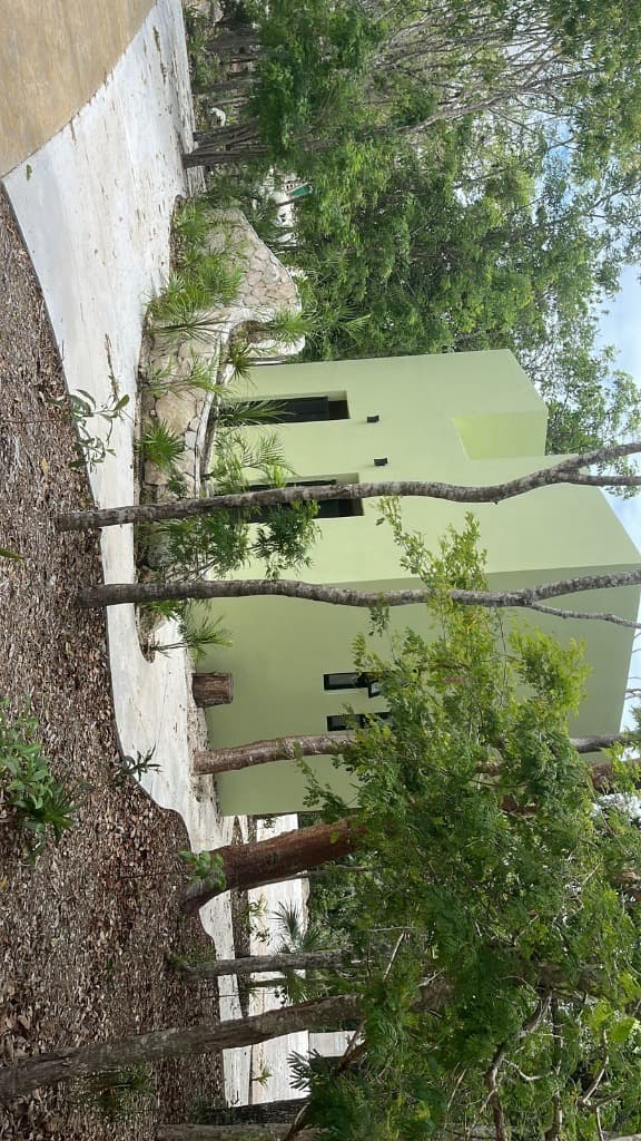 image-18